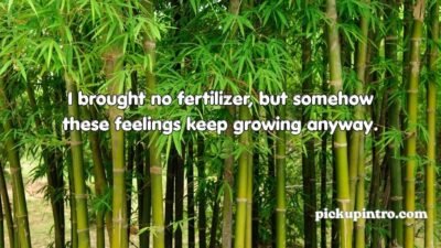 Bamboo Pickup Lines