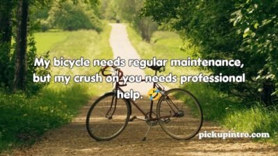 Bicycle Pickup Lines