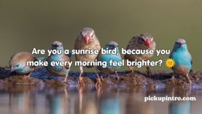 Bird Pick Up Lines