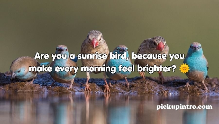 Bird Pick Up Lines