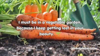 Carrot Pick Up Lines