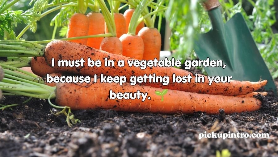 Carrot Pick Up Lines