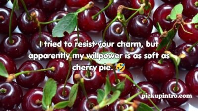 Cherry Pickup Lines