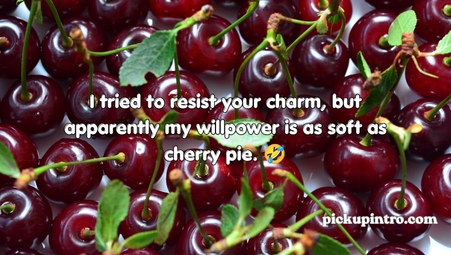 Cherry Pickup Lines