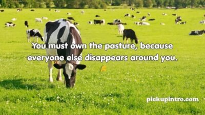 Cow Pick Up Lines