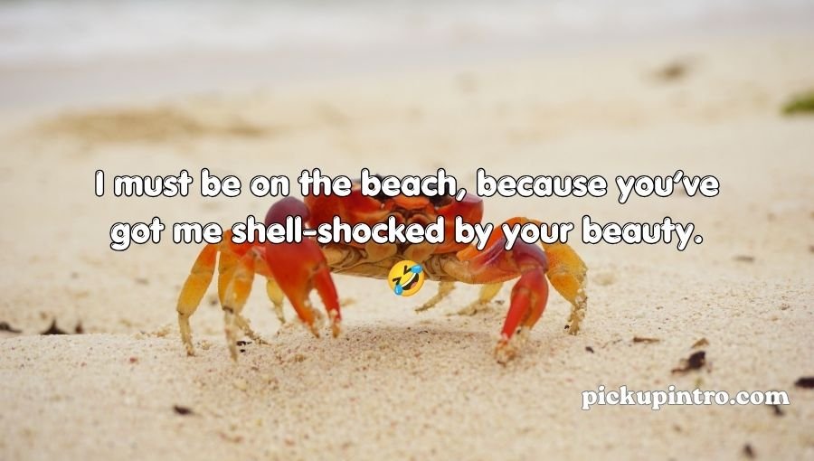 Crab Pickup Lines