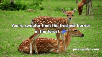 Deer Pickup Lines