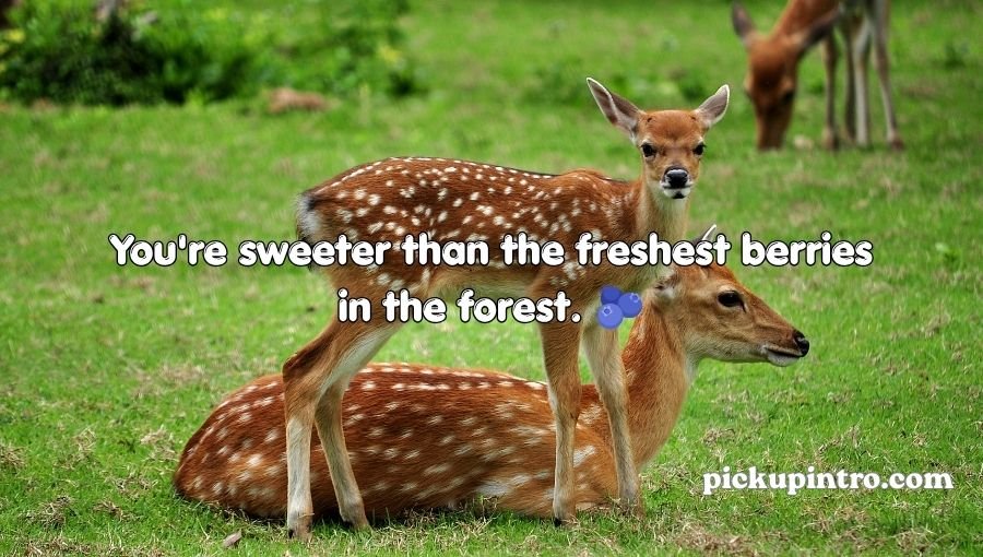 Deer Pickup Lines