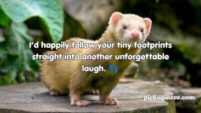 Ferret Pickup Lines