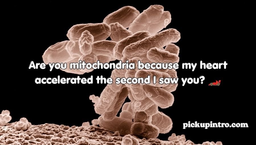 Mitochondria Pick Up Lines