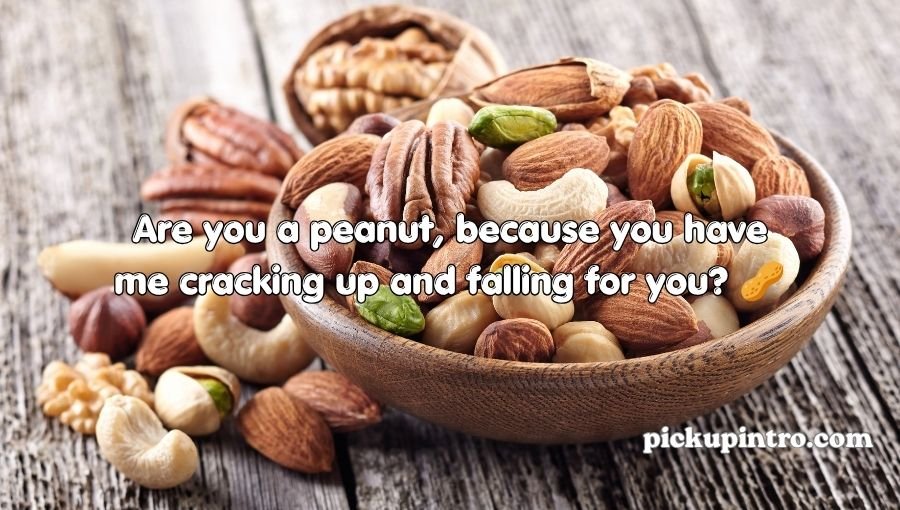 Nuts funny and playful collection