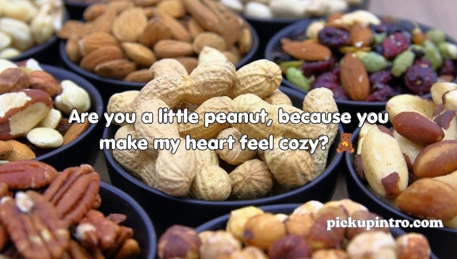 Nuts Pickup Lines