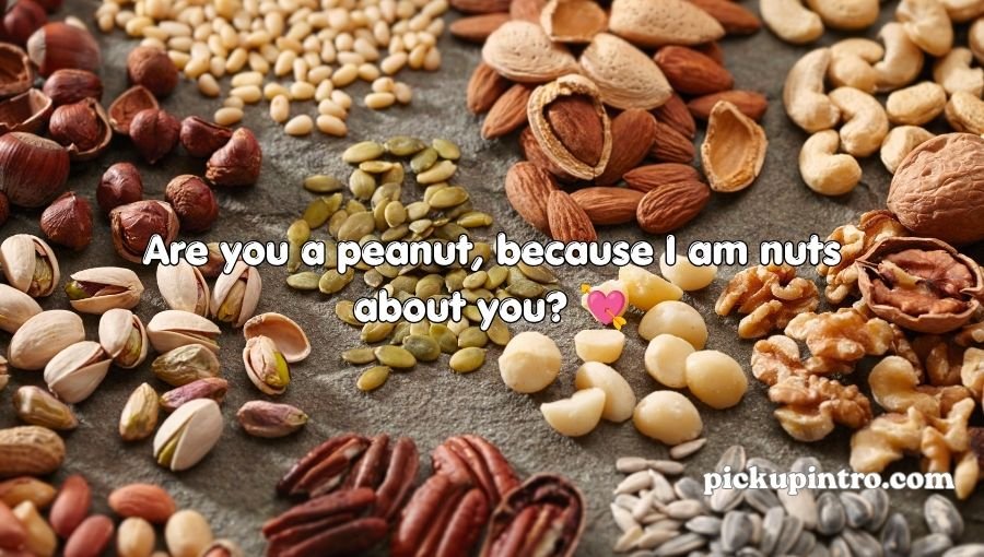 Nuts Pickup Lines