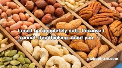 Nuts Pickup Lines