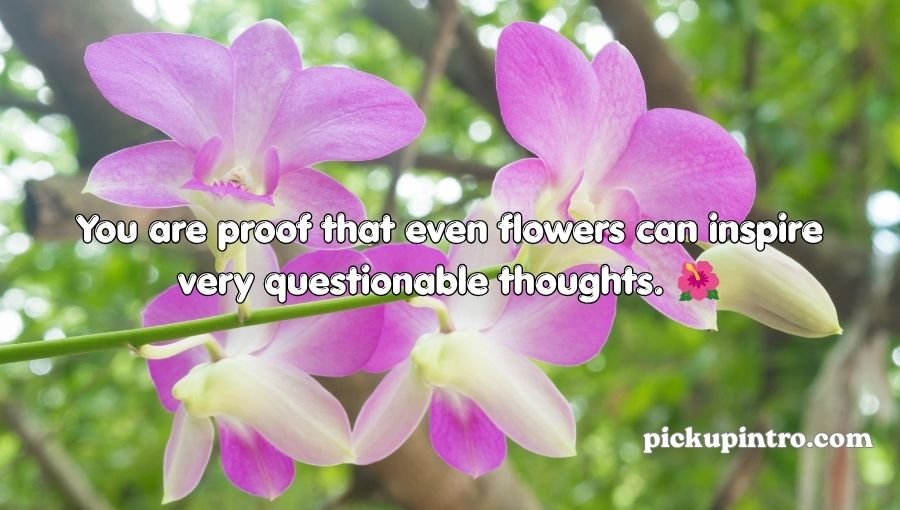 Orchid Pickup Lines