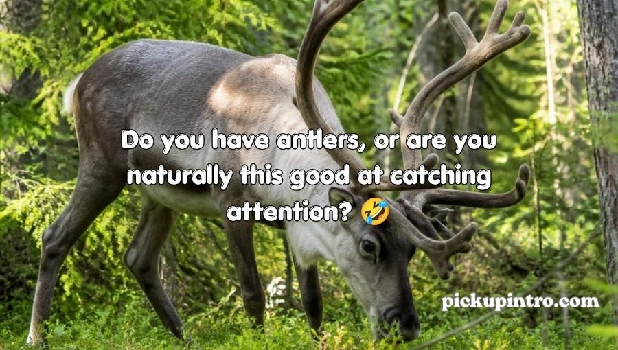 Reindeer Pickup Lines