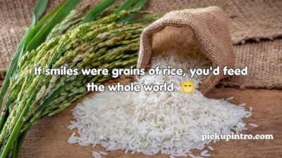 Rice Pickup Lines
