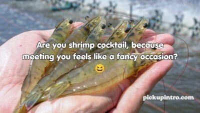 Shrimp Pickup Lines