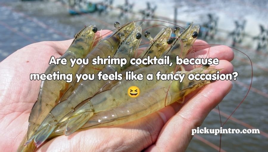 Shrimp Pickup Lines