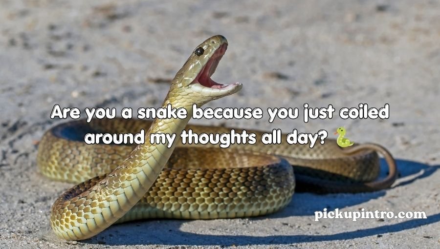 Snake-inspired romantic concept with a playful and flirty theme