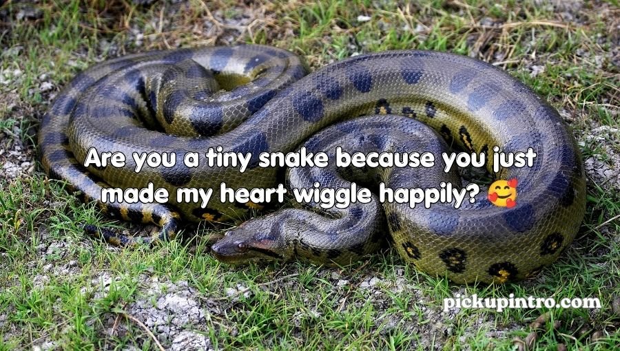 Clever serpent concept representing funny and unique wordplay
