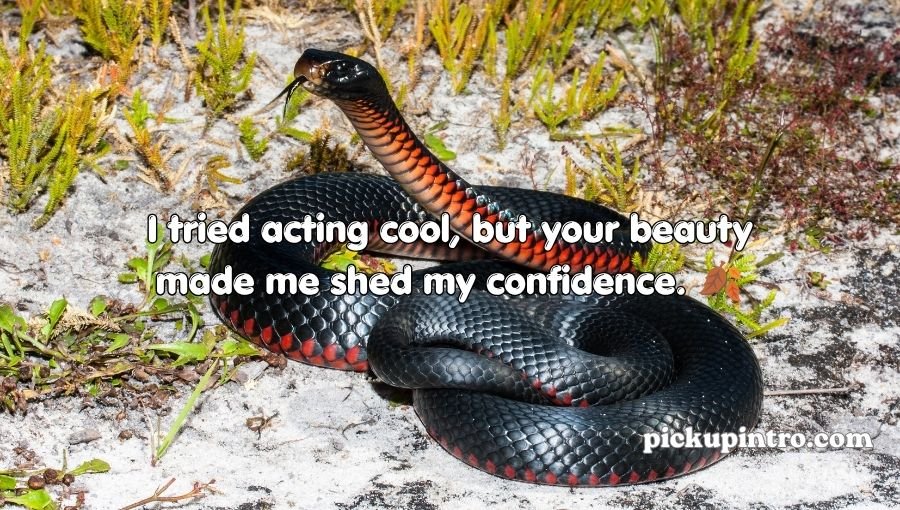 Snake Pickup Lines