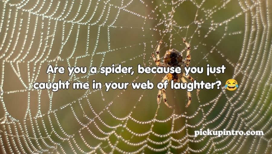Funny spider-themed illustration with creative web design