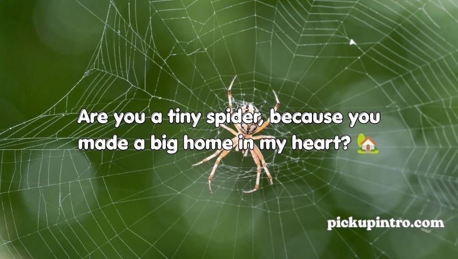Funny spider sitting on a detailed spider web