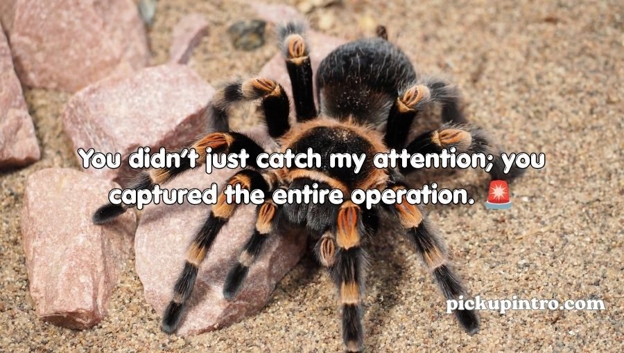 Spider Pickup Lines
