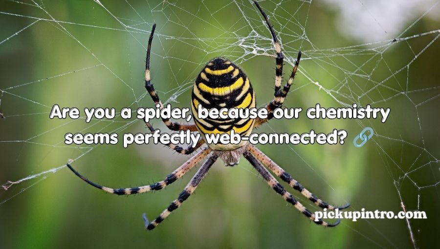 Cute spider character in an adorable creative scene
