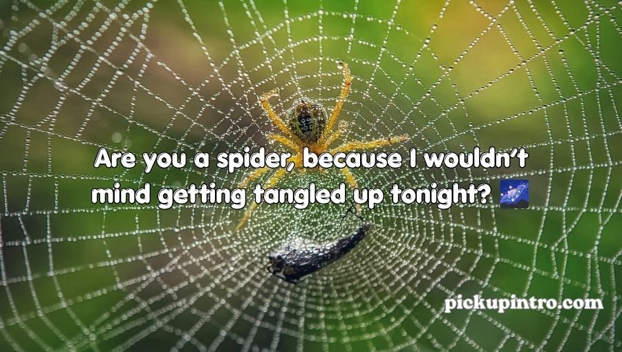 Spider Pickup Lines