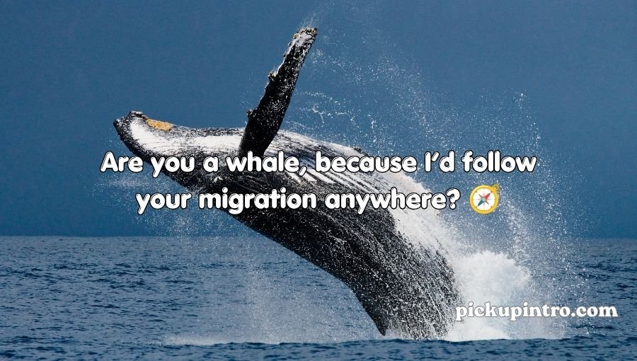 Whale Pickup Lines