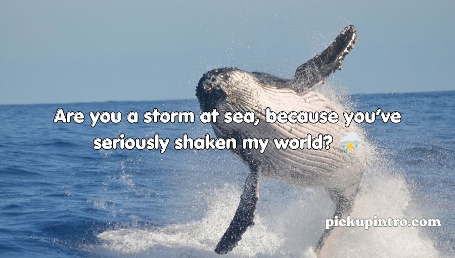 Whale Pickup Lines