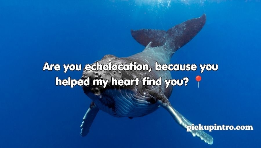 Clever whale illustration inspired by marine life