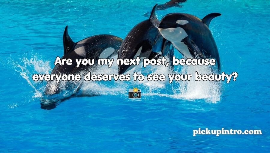 Whale Pickup Lines