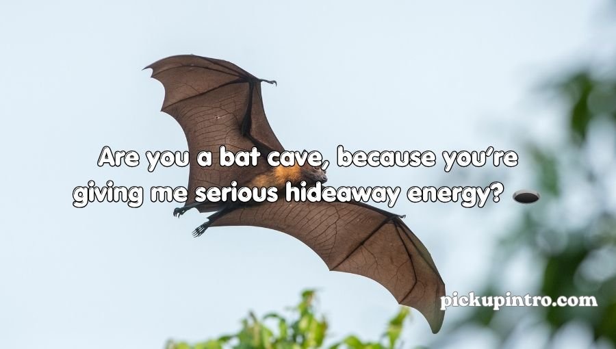 Bat Pickup Lines