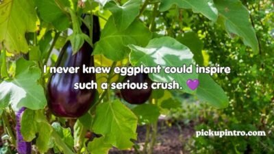 Eggplant Pick Up Lines