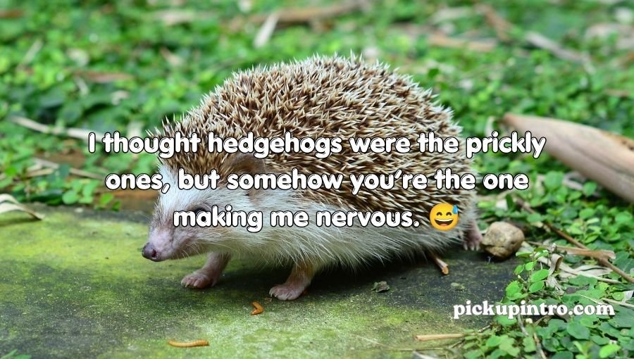Hedgehog Pickup Lines