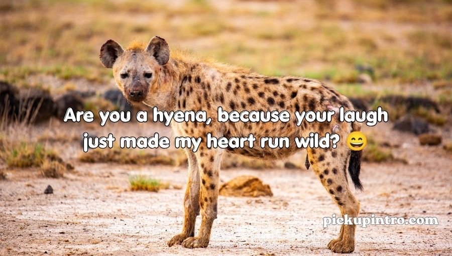 Hyena Pickup Lines