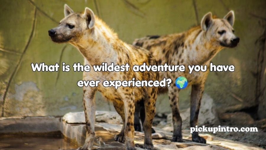 Hyena Pickup Lines