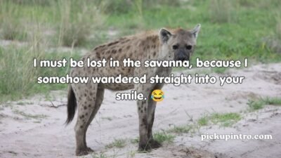 Hyena Pickup Lines