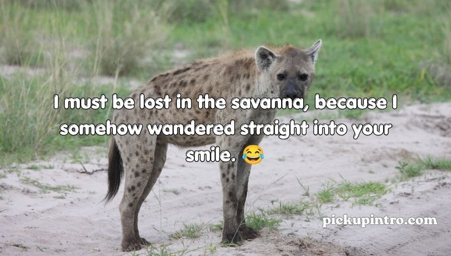 Hyena Pickup Lines