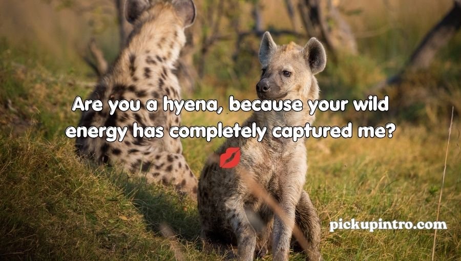 Hyena Pickup Lines
