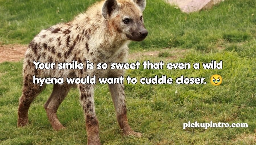 Hyena Pickup Lines