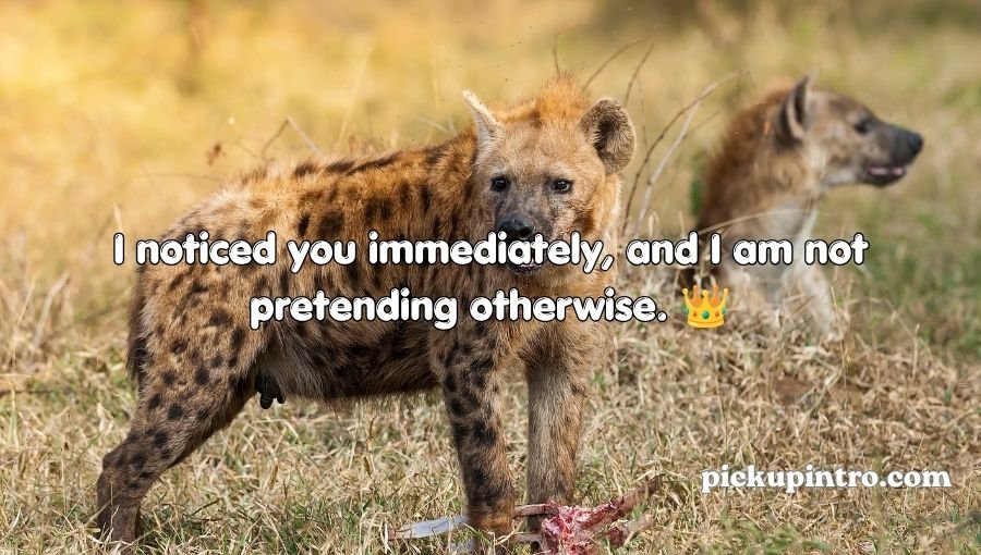Hyena Pickup Lines