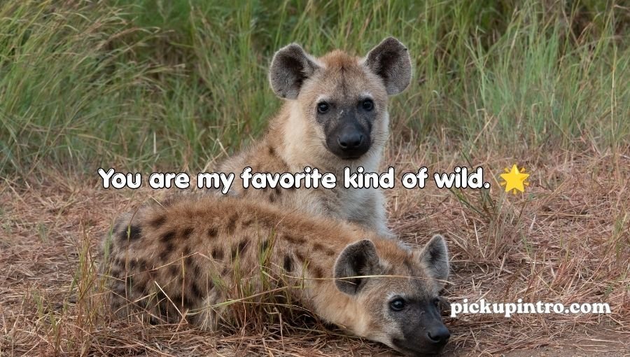 Hyena Pickup Lines