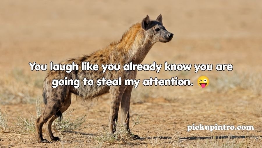 Hyena Pickup Lines