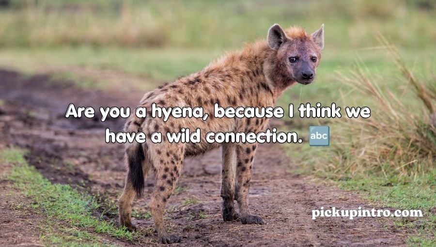 Hyena Pickup Lines