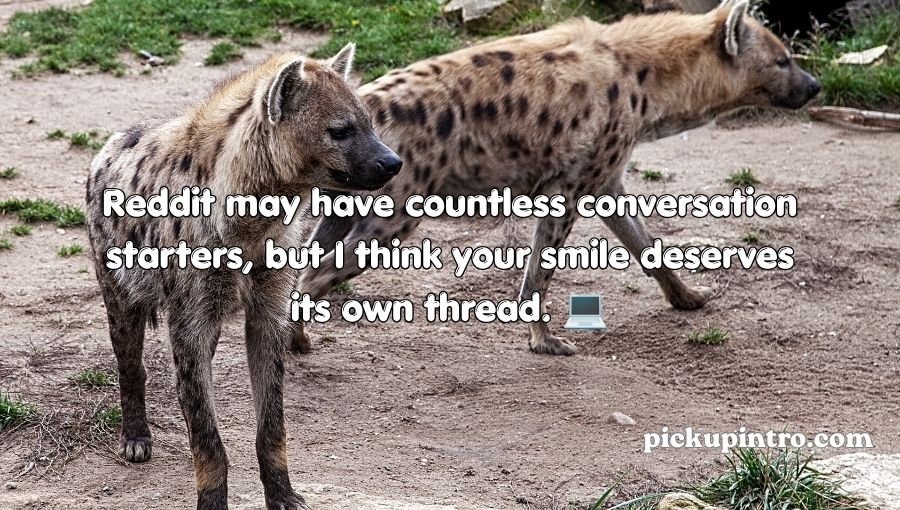Hyena Pickup Lines