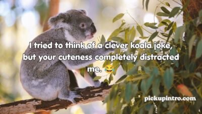 Koala Pickup Lines